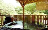 【げんこつ風呂】硫酸塩泉の美肌湯を100%掛け流し♪ 日本庭園に面した開放的な露天。