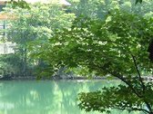ドッコ沼／蔵王中腹にあり，新緑・紅葉によい行楽地。