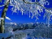 済んだ空気の中で冬の休日をお楽しみください！※イメージ