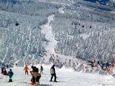 蔵王温泉スキー場／隣接する蔵王温泉スキー場は、世界でも珍しい『樹氷』が見られるスポットとして有名
