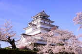 「日本さくら名所百選」会津鶴ヶ城の桜(4月中旬頃)