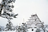 冬の会津鶴ヶ城