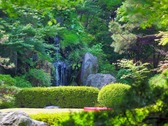 中庭には滝があり、季節の彩りとともに様々な表情が楽しめます！