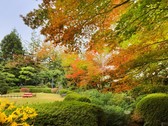 秋色に染まる庭園は一番人気！夜にはライトアップも・・・！
