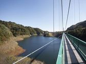 ◆もみじ谷大吊橋／秋には橋上からダイナミックな紅葉が堪能できます。