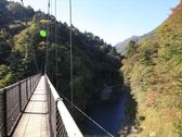 ◆回顧の吊橋／観瀑台から水晶のすだれをたらしたような滝を眺めることができます。