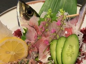 スタンダードプランのご夕食内容に、 アジの姿造り・旬の海鮮・なめろう３品をプラス！！