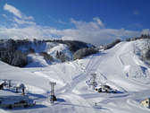【ニュー・グリーンピア津南スキー場（全景）】広々としたゲレンデ。３月まで良好な雪質を楽しめます。