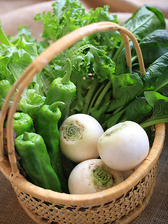 今日の野菜は、角屋農園から掘ったばかりの新鮮な野菜ばかり　有機肥料をたっぷり入れて味の濃い野菜