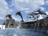 のとじま水族館ではイルカショーやペンギンのお散歩などお楽しみがいっぱい♪