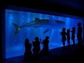 のとじま水族館：世界最大の魚類ジンベエザメも♪