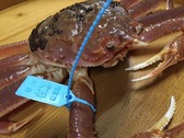 青タグ付きブランド蟹「加能蟹・かのうがに」イメージ