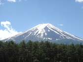 ホテルから望む富士山
