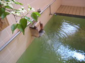 [四季の宿　河一屋] 外湯のひとつ「真湯」