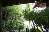 竹林庭園