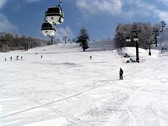 白樺国際スキー場　メインコース