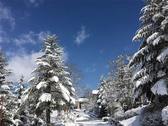雪が降り積もった朝には