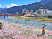 露天温泉から飛騨川沿いを一望(春)
