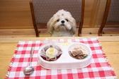 [仔犬のワルツ]