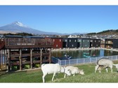 富士山と山羊の丘コテージと山羊と　※イメージ