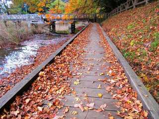 木々が赤く染まる季節、湖畔の道も秋の装いに。