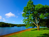 爽やかな緑と湖のコントラストを楽しむ夏の一碧湖