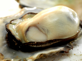 朋輩牡蠣は、愛知県初の無菌検査を通過した安心して生食用として食べられる牡蠣。