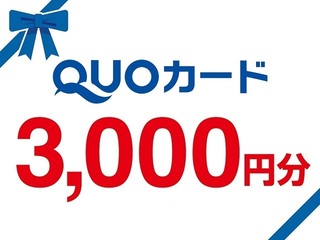 ◆QUO3000
