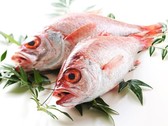 【のどぐろ/イメージ】日本海名産、「白身のトロ」とも言われ、脂がよくのる高級魚。由来は「のどが黒い」