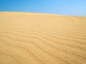 【鳥取砂丘】雄大さと起伏の大きさで、どの砂丘よりも美しいと言われています。（当館より車40分)