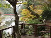 [マルキ旅館] 広いデッキからの武庫川の眺め