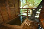 [マルキ旅館] 【ふきの間】浴室に鎮座する＜もみじの老木＞　