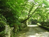 [マルキ旅館] 緑あふれるマルキ旅館内で森林浴