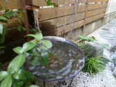 中庭の水盤