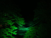 [ホテル秘境の湯] 夜のかずら橋