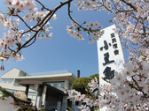 [小豆島ふるさと村 宿泊3施設「国民宿舎小豆島」「公共の宿ふるさと荘」「ファミリーロッジ」] 桜と宿舎