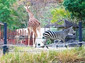 のいち動物公園／当館から車で約25分