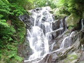 糸島観光・白糸の滝