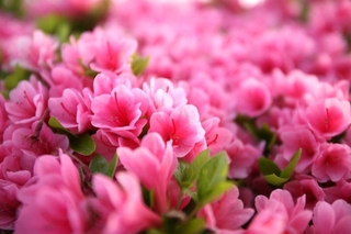 [�Z���g�����z�e�����Y] �C���[�W