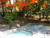 貸切露天風呂「赤松の湯」紅葉は12月初旬からです