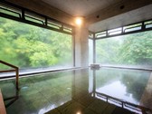 トロトロの温泉をご堪能下さい♪