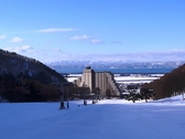 ロイヤルクリスティー