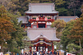 鶴岡八幡宮　初詣