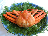 紅ズワイ蟹（イメージ）