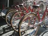 無料のレンタサイクルで市内観光