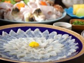 【とらふぐてっさ】歯ごたえをお愉しみいただけるよう、料理長こだわりの「厚切りてっさ」をご用意。