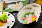 2024年　春　「華結2」