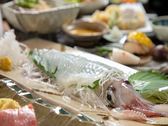 会席イメージ（イカの活き造りはお一人様１匹ではありません。ご了承ください）